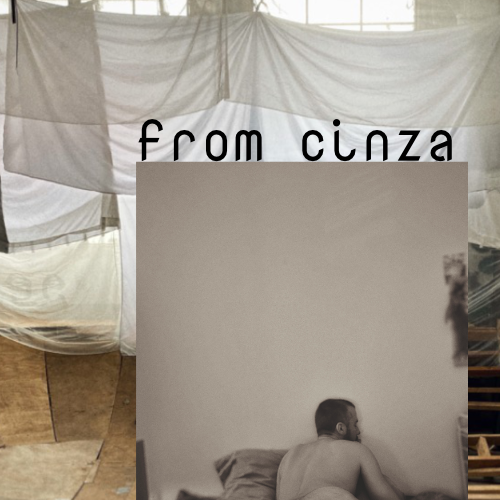 From Cinza: An Erotic Dream Zine